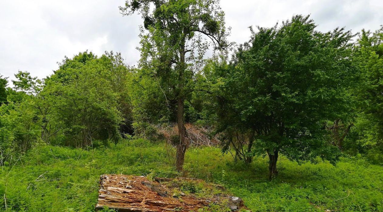 земля р-н Майкопский п Каменномостский ул Высокая фото 2