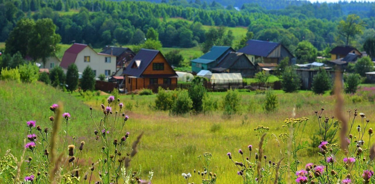 земля городской округ Клин д Скрепящево фото 3