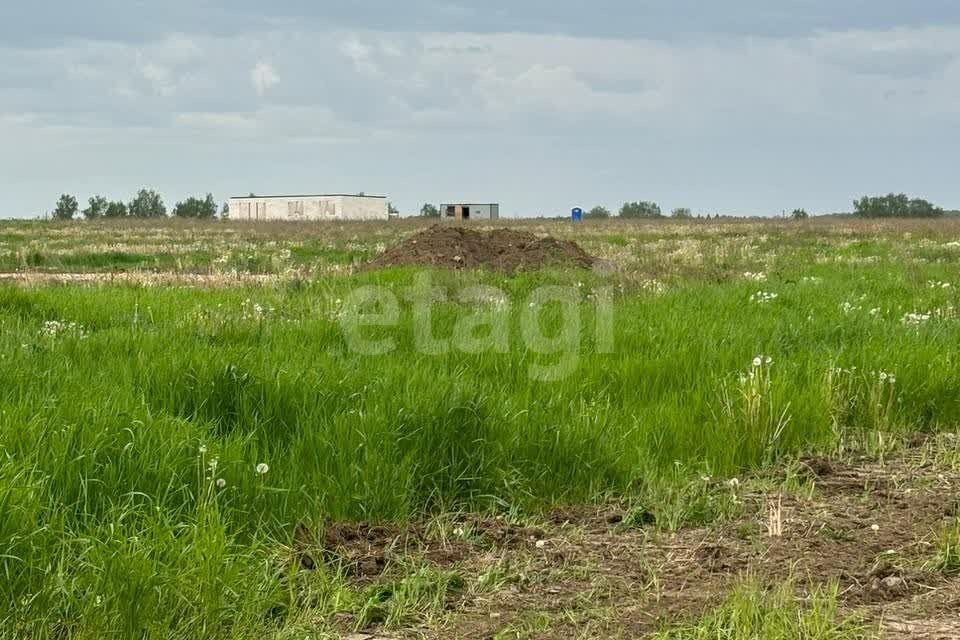 земля г Домодедово ул Кирова 19 городской округ Домодедово фото 5