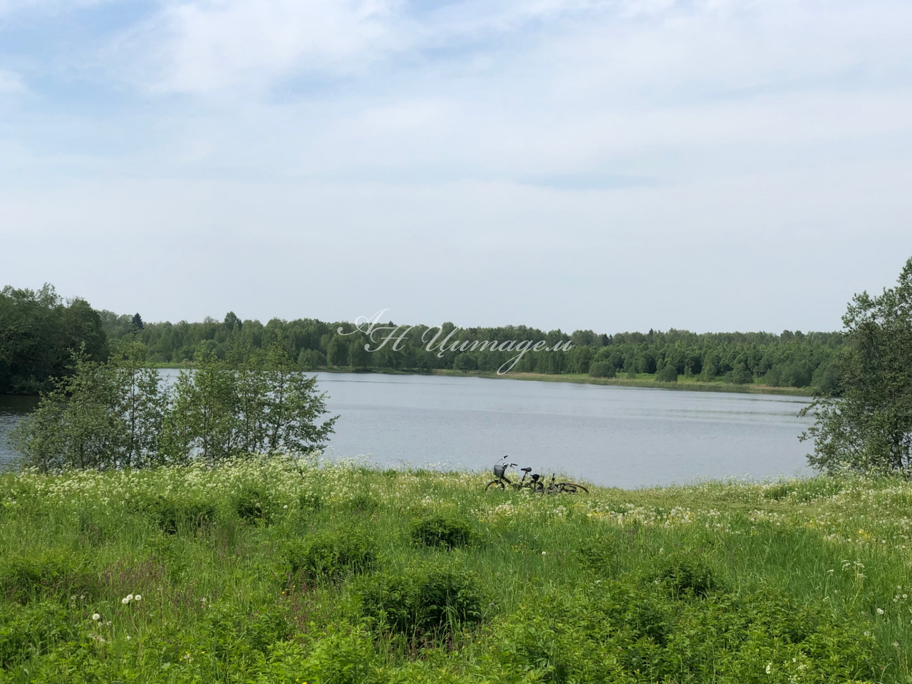 дом городской округ Клин д Борихино ул Радужная 1 фото 3