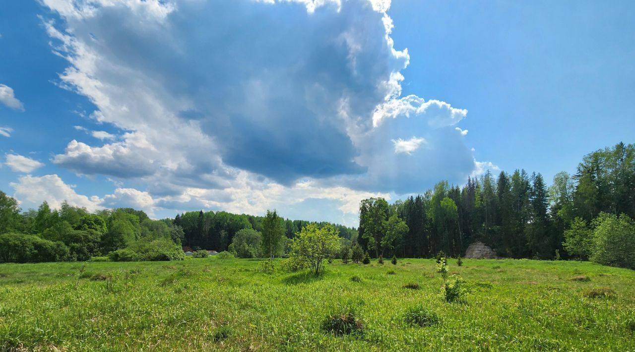 земля р-н Лужский Толмачевское городское поселение фото 17