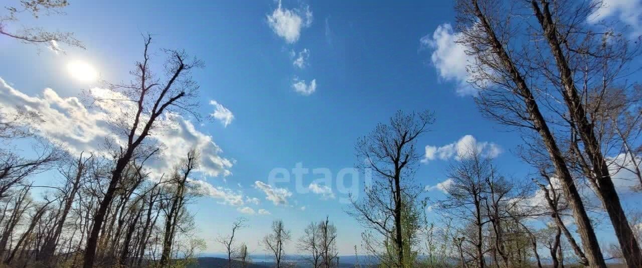 земля г Артем снт Фарфорист Синяя Сопка дм, Парк Западный дп фото 6