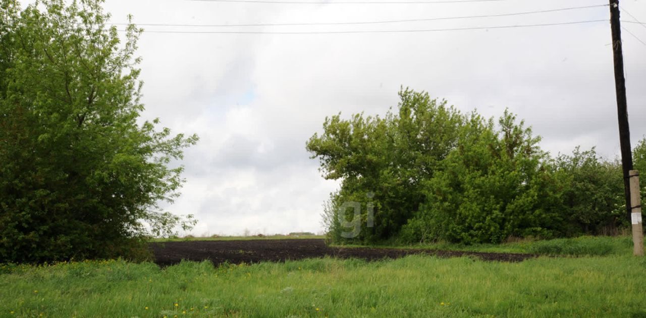 земля р-н Новохопёрский с Русаново ул Нижняя Новохоперск городское поселение фото 9