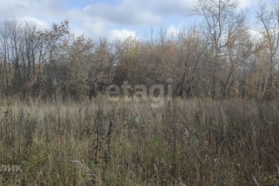 земля городской округ Барнаул, Зелёная улица, 11, село Лебяжье фото 5