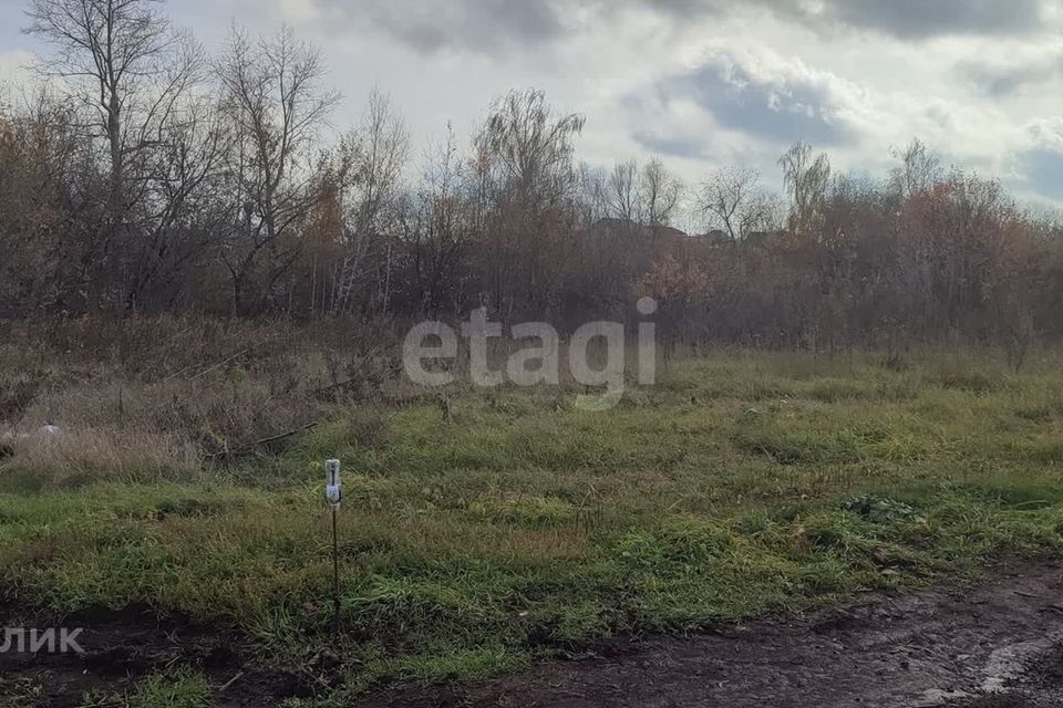 земля городской округ Барнаул, Зелёная улица, 11, село Лебяжье фото 6