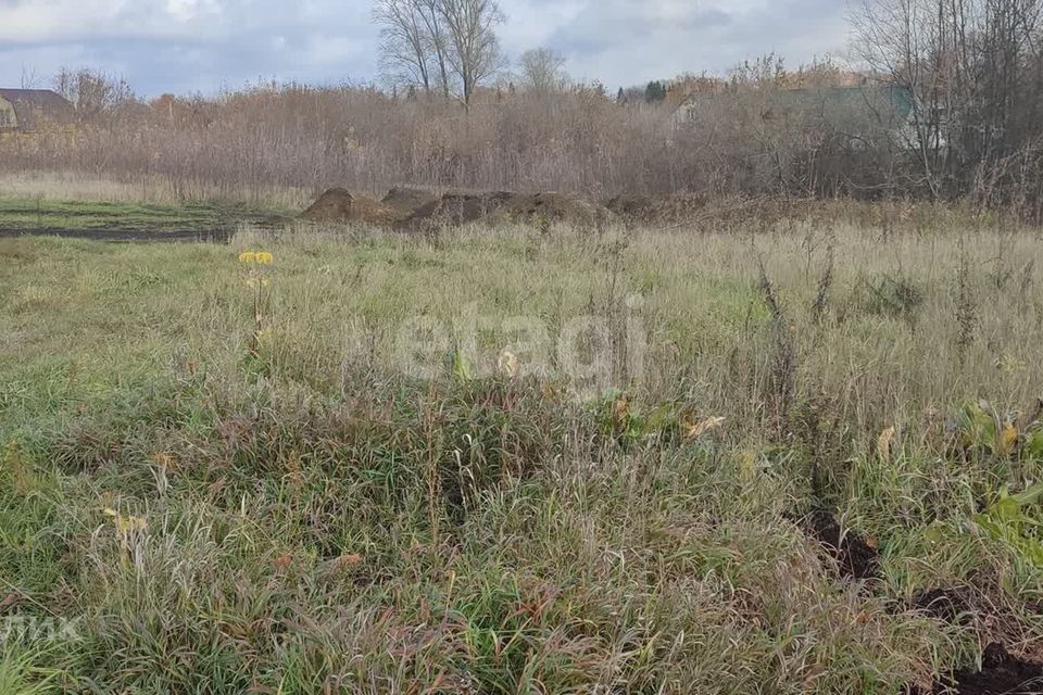 земля городской округ Барнаул, Зелёная улица, 11, село Лебяжье фото 7