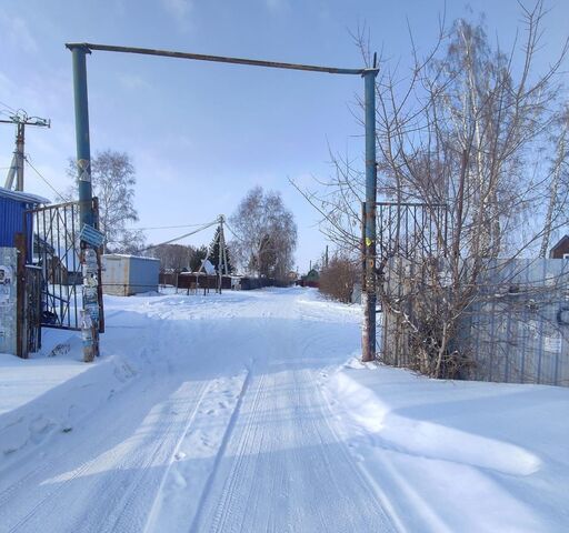 земля снт Оксид сельсовет, Новосибирск, Мичуринский фото