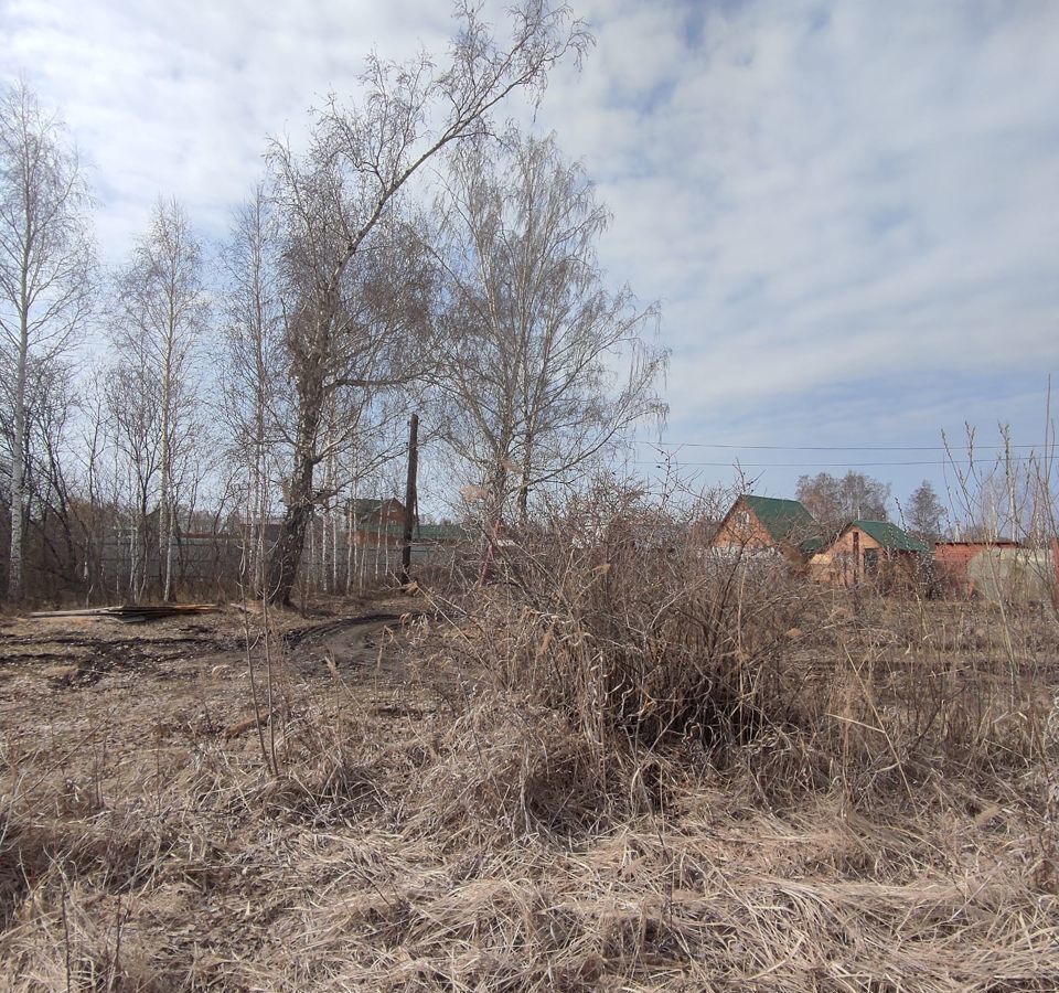 земля р-н Новосибирский снт Оксид сельсовет, Новосибирск, Мичуринский фото 11