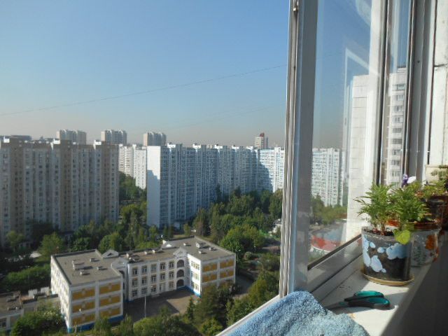 квартира г Москва б-р Ореховый 18 Южный административный округ фото 10