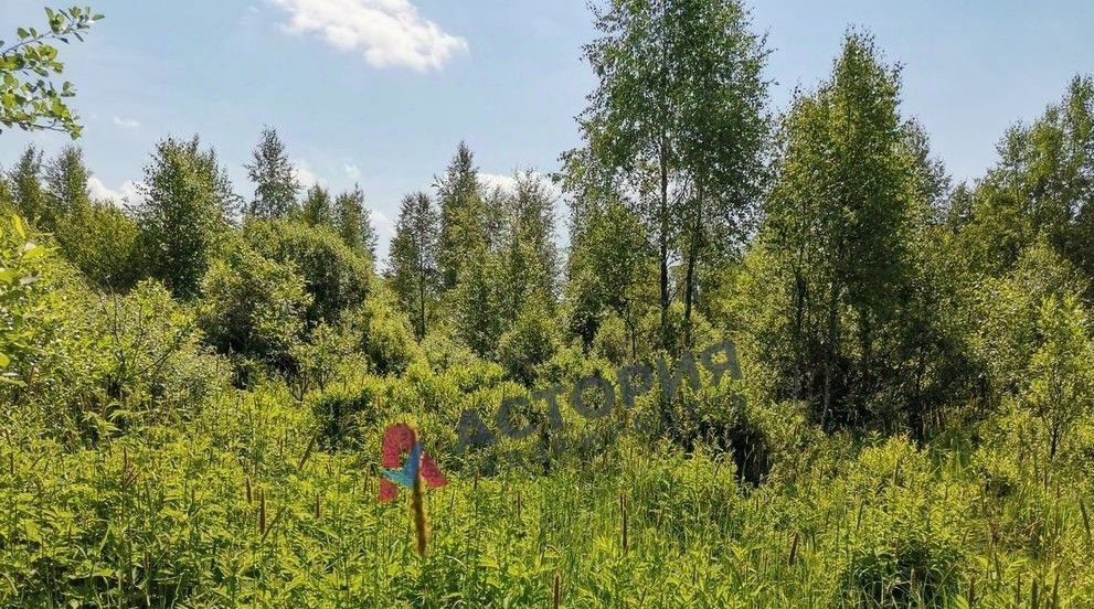 земля р-н Богородицкий г Богородицк ул Вязовская 17 фото 5