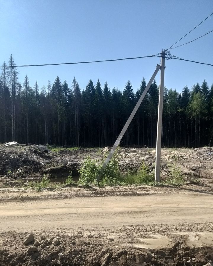 земля р-н Всеволожский массив Мертуть днп Озерная долина Сертоловское городское поселение, Сертолово, дачное некоммерческое партнёрство фото 9