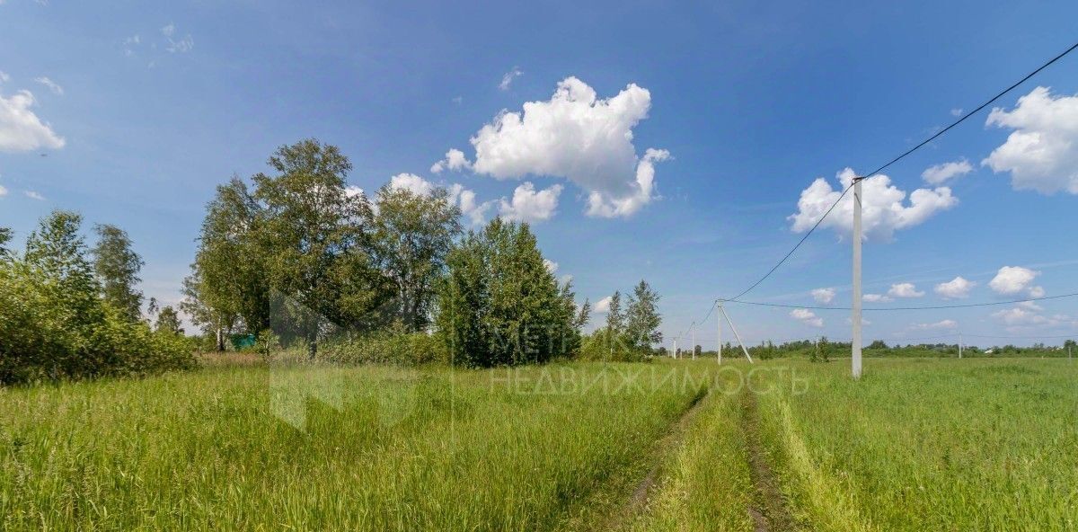 земля г Тюмень снт Зеленый бор р-н Центральный фото 20