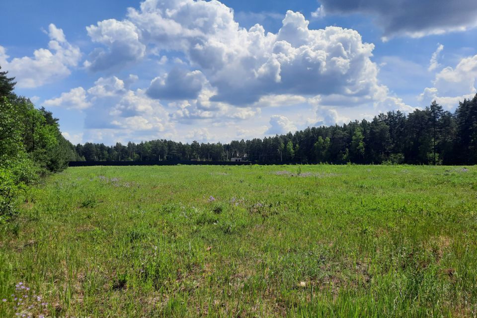 земля городской округ Богородский фото 5