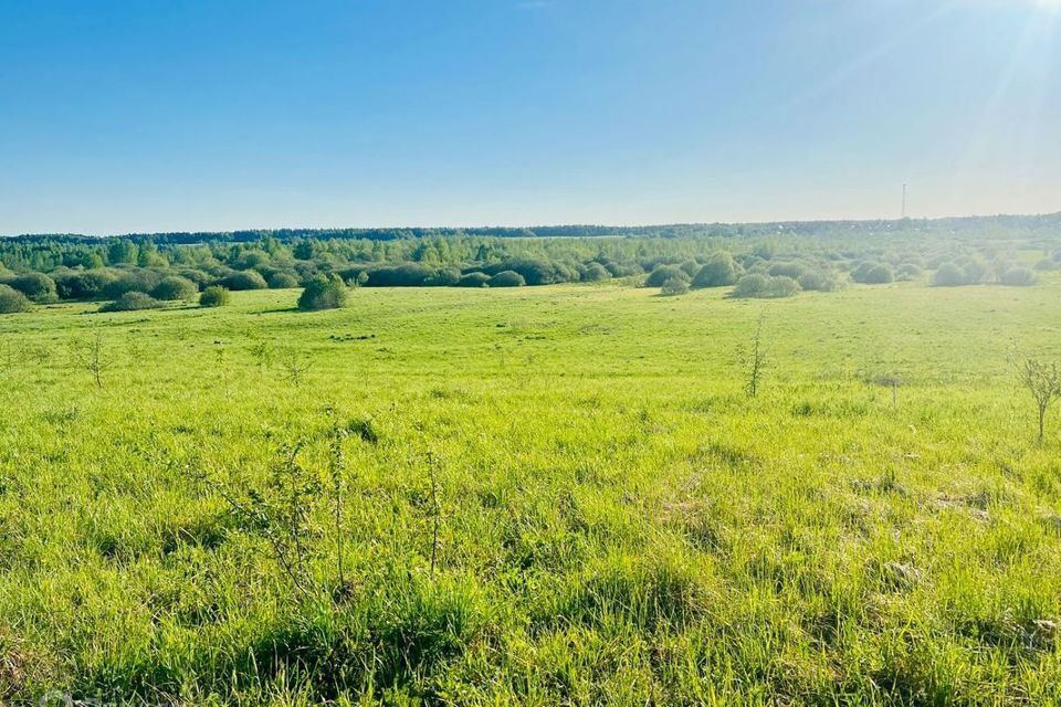 земля городской округ Сергиево-Посадский село Озерецкое фото 1