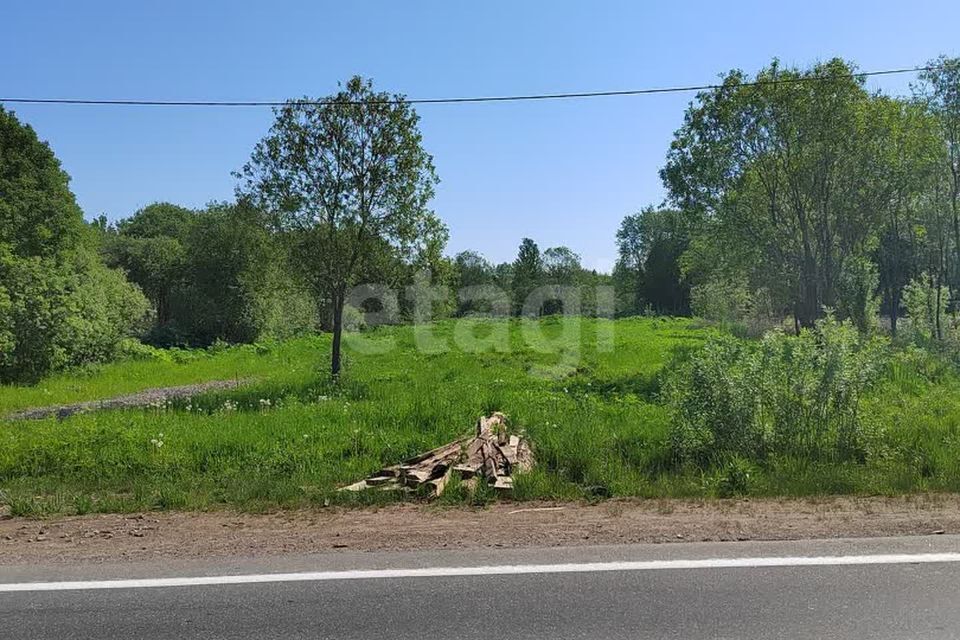 земля р-н Волховский деревня Берег фото 2