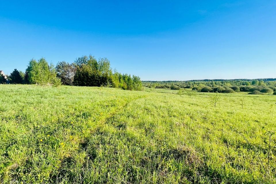 земля городской округ Сергиево-Посадский село Озерецкое фото 8