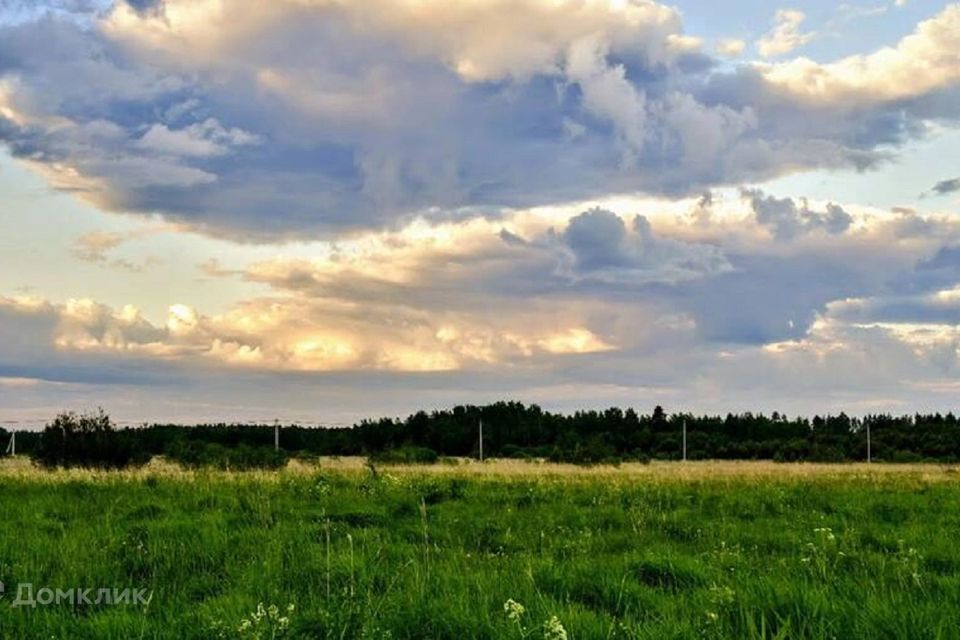 земля р-н Кировский дачный посёлок Зелёный лес, 112 фото 3