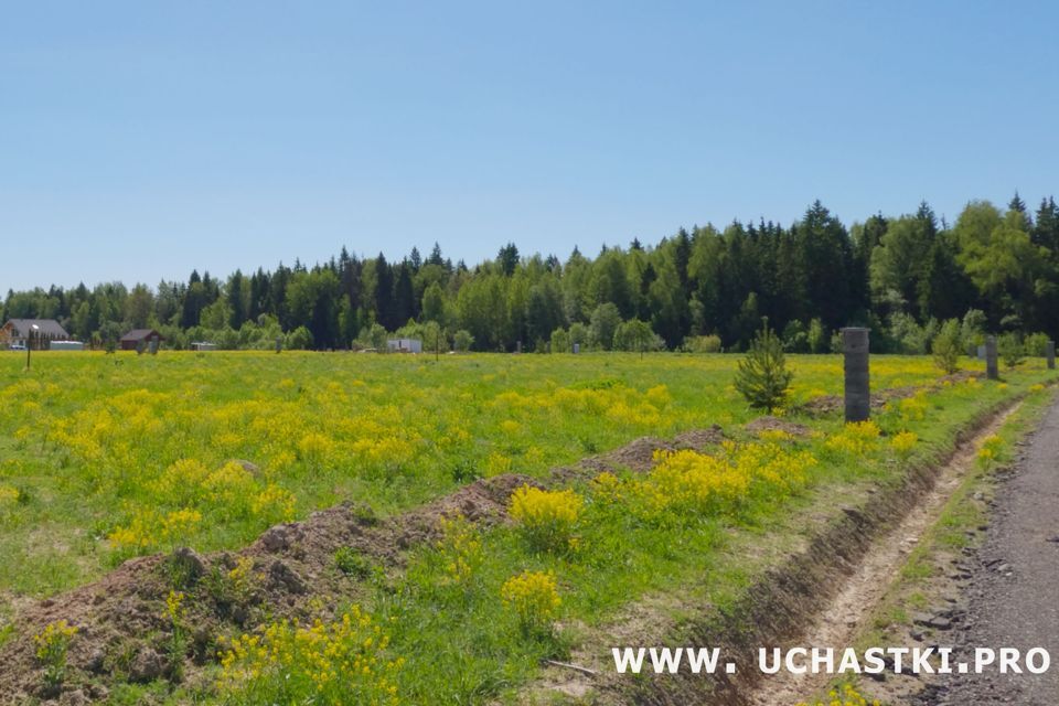 земля городской округ Истра коттеджный посёлок Максимово Парк фото 10