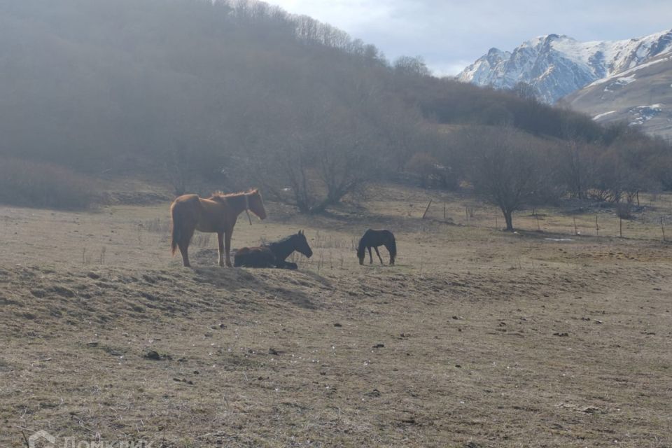 земля р-н Алагирский фото 5