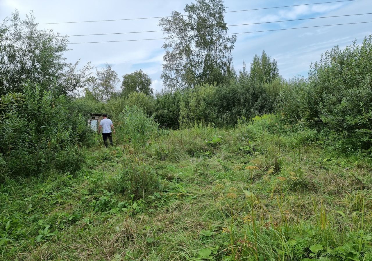 земля г Новосибирск р-н Ленинский снт Золотая осень ул Смородиновая фото 3