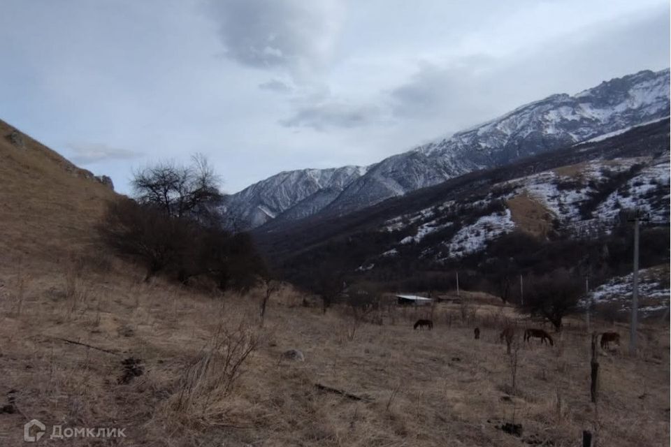 земля р-н Алагирский село Горный Карца фото 1