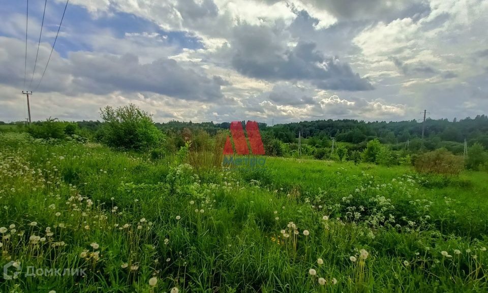 земля р-н Ярославский д Филисово ул Центральная 6 фото 2