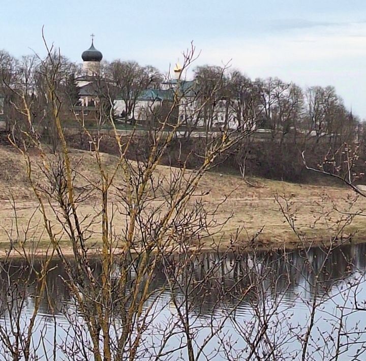 квартира р-н Псковский д Родина ул Набережная 8 Завеличенская волость фото 25