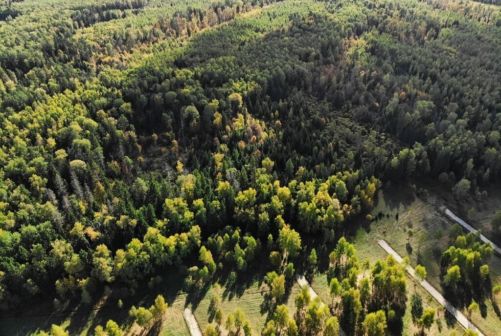 земля городской округ Ступино с Мышенское фото 3