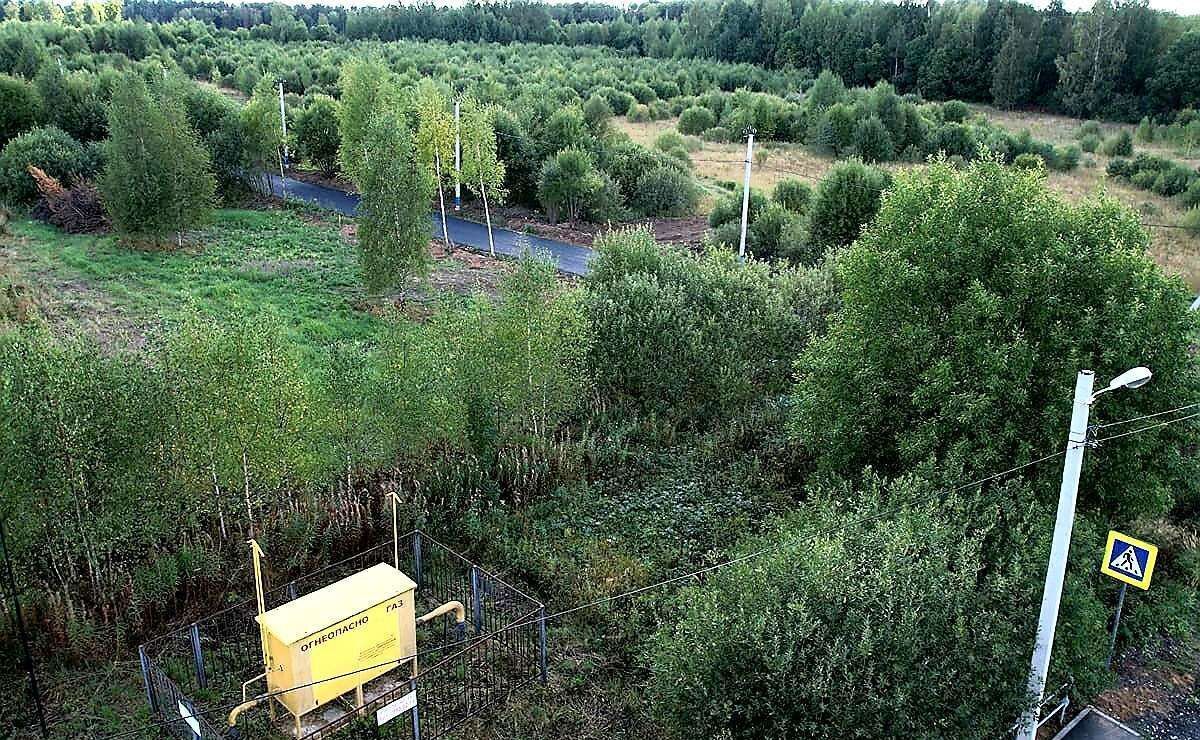 земля городской округ Дмитровский п Подосинки Деденево фото 4