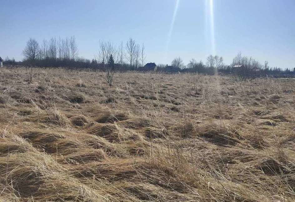 земля р-н Новгородский д Борок Борковское сельское поселение, Панковка фото 4