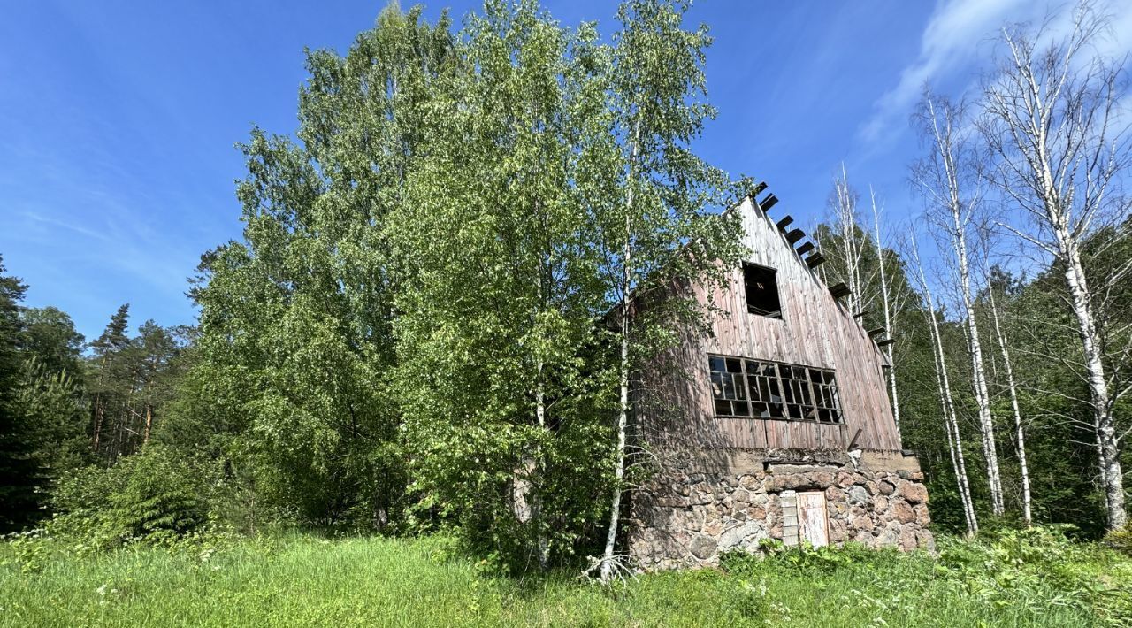 земля р-н Выборгский Приморское городское поселение фото 18