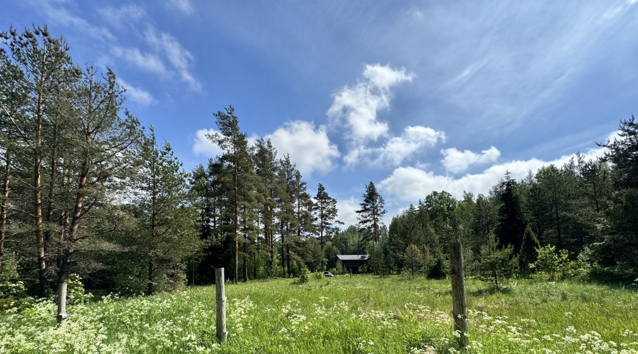 земля р-н Выборгский Приморское городское поселение фото 20