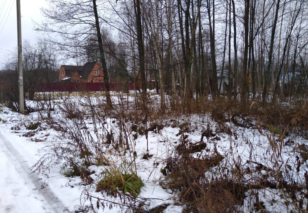 земля городской округ Орехово-Зуевский Ликино-Дулево, садовое товарищество Ивушка фото 3