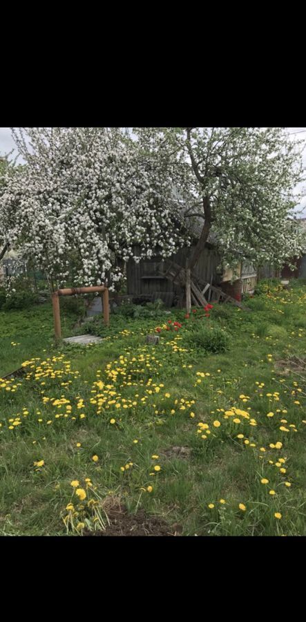 земля р-н Гурьевский г Гурьевск снт Урожай ул Светлая фото 1