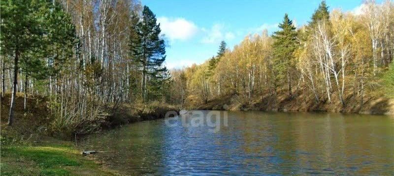 земля р-н Ульяновский д Салмановка Ишеевское городское поселение фото 5