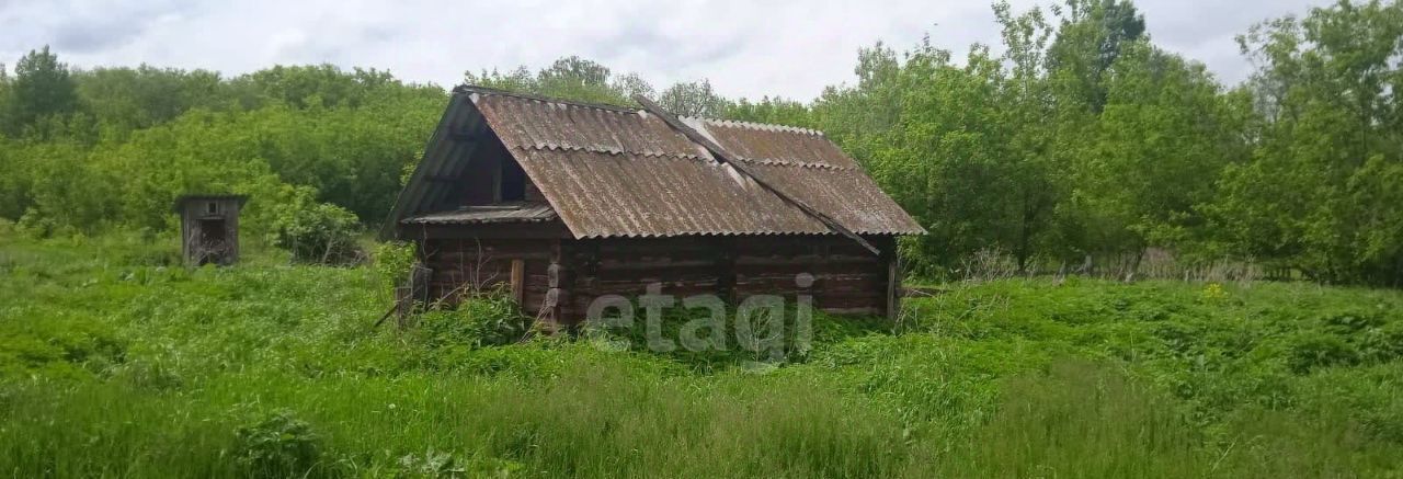 дом р-н Петропавловский с Алексеевка ул Партизанская фото 3