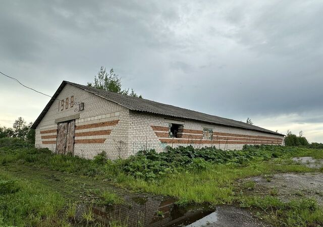 д Паново ул Центральная 1 Пановское сельское поселение, Палех фото