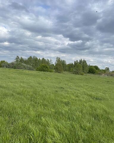 Мосоловское сельское поселение, Спасск-Рязанский фото
