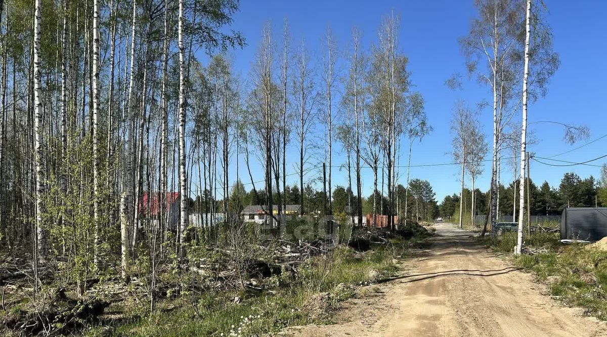 земля р-н Череповецкий д Городище Югское муниципальное образование фото 4