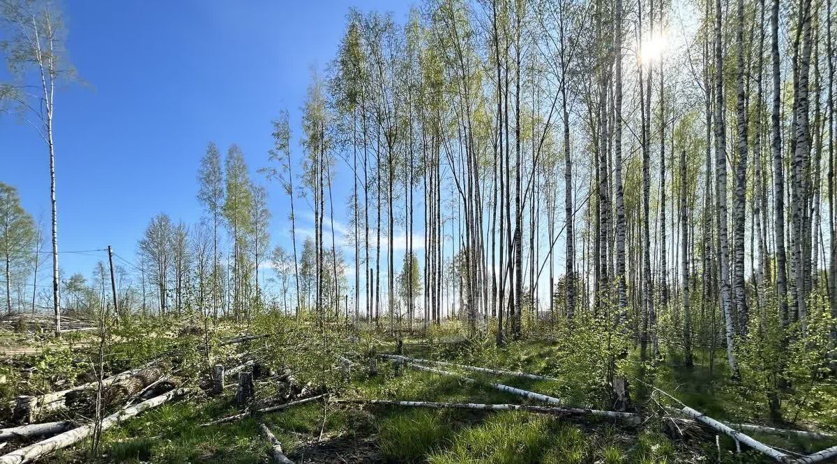 земля р-н Череповецкий д Городище Югское муниципальное образование фото 7