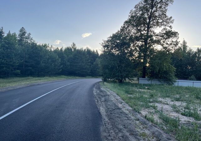 земля Рамонское городское поселение, Рамонь фото