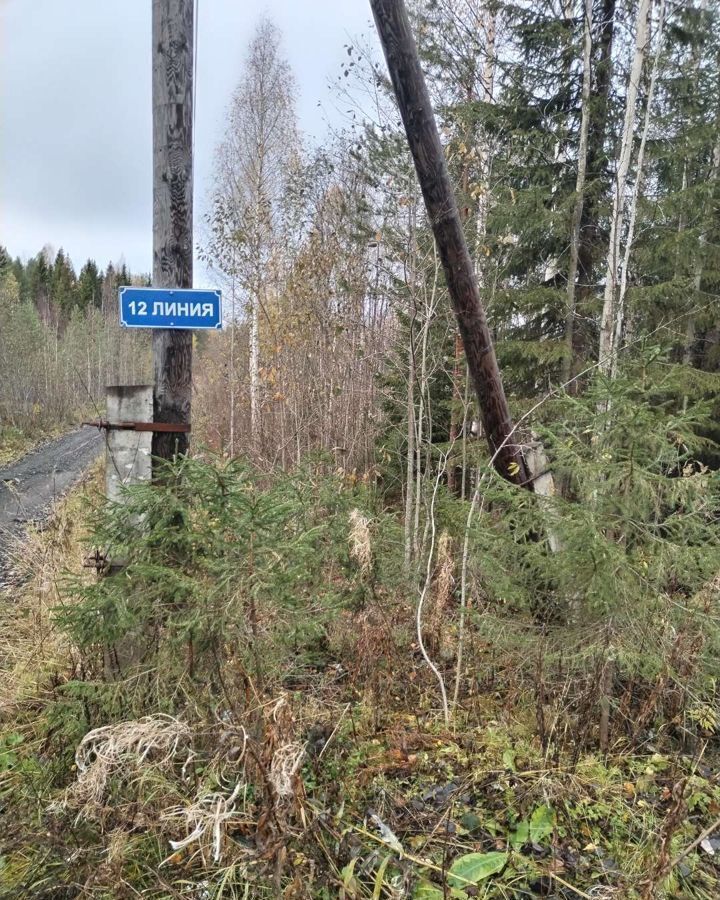 земля р-н Приморский садовое товарищество У Озера, Архангельск фото 1