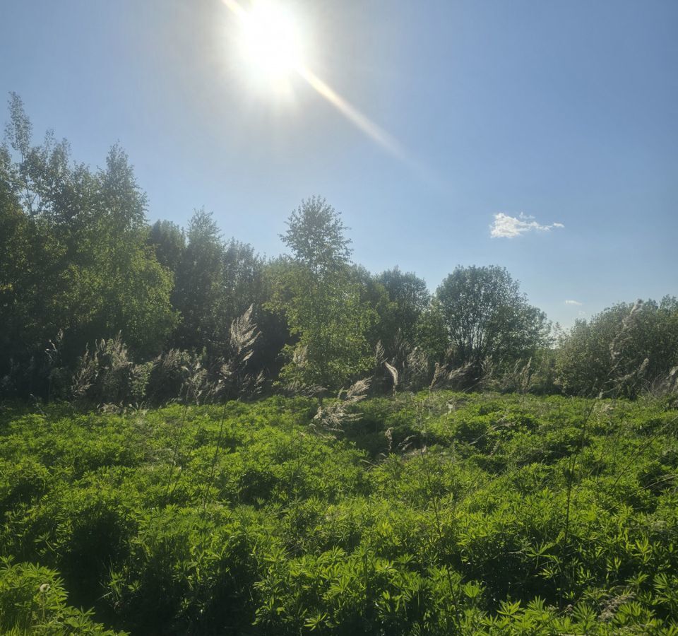 земля городской округ Воскресенск территория Максимовка-1 фото 4