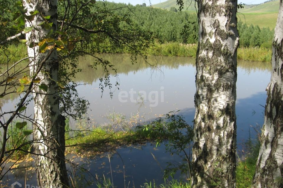 земля р-н Алтайский с Нижнекаянча ул Центральная 54 фото 1