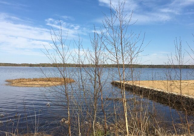 дачное некоммерческое партнерство Берега фото