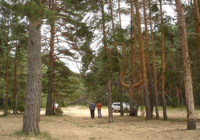 сельское поселение Уломское, Тверская область, Весьегонск фото