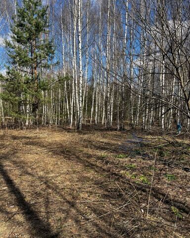 земля Городецкий муниципальный округ, Балахна фото