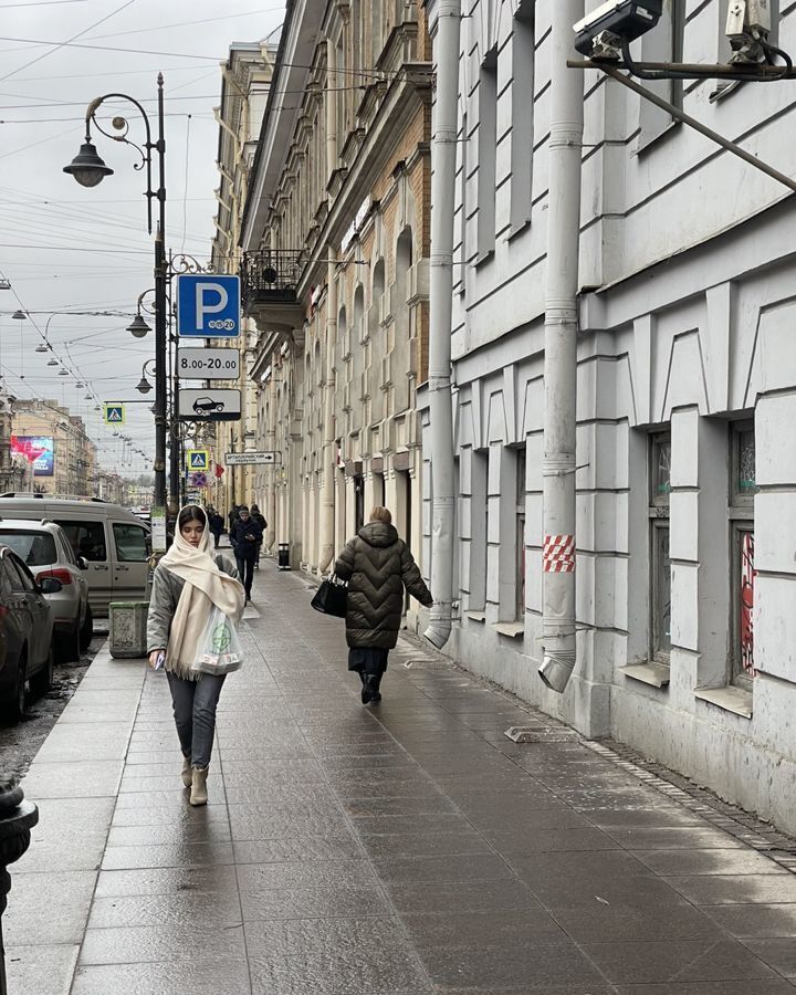 торговое помещение г Санкт-Петербург метро Чернышевская пр-кт Литейный 30 фото 10