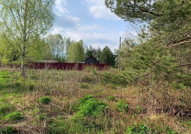 земля снт Лесной муниципальное образование Каринское, 16, Карабаново фото