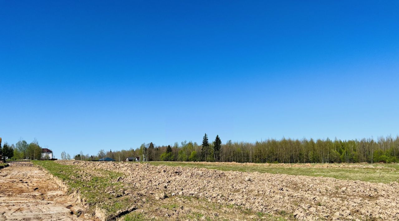 земля Дмитровский городской округ, Медведки кп фото 13